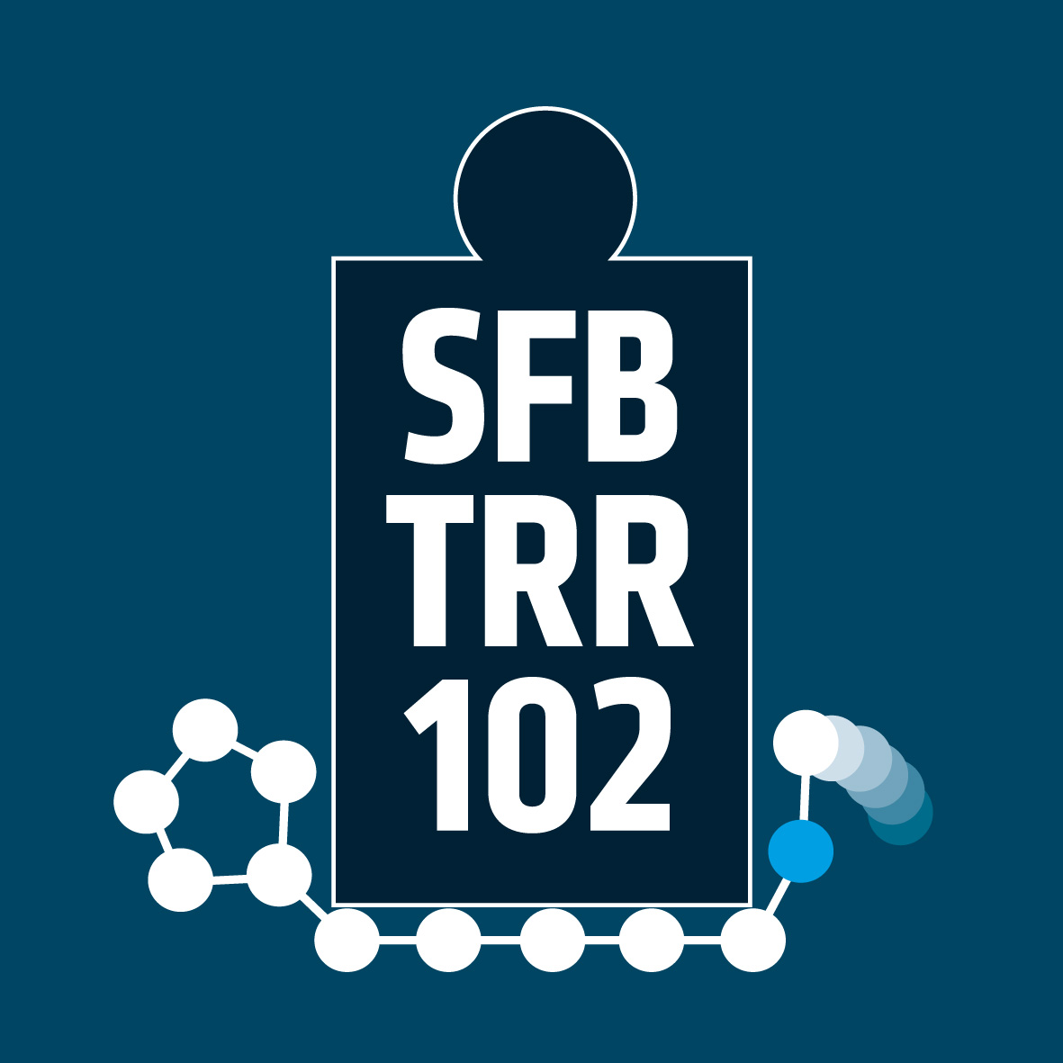 SFB TRR 102 Logo