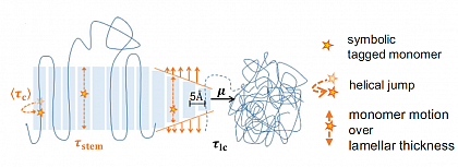 Competition between crystal growth and intracrystalline chain diffusion determines the lamellar thickness in semicrystalline polymers. (M. Schulz, M. Schäfer, K. Saalwächter, and T. Thurn-Albrecht, Nat. Commun. 13, 119 (2022))
