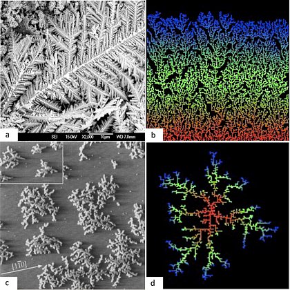 a) CuNi dentritischen Material (Ri Qiu et al., Chem. Mater. 19 (2002) 4174; b) Ballistische Deposition; c) Fraktale Ag-Aggregate auf Pt(111), 120x120 nm, H. Brune et al. Nature 369 (1994) 469; d) Diffustionsbegrenzte Aggregation
