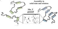 Multisegmented Hybrid Polymer Based on Oligo-Amino Acids (Reprinted with permission from J. Freudenberg et al., Macromolecules (2019). Copyright 2019 American Chemical Society.